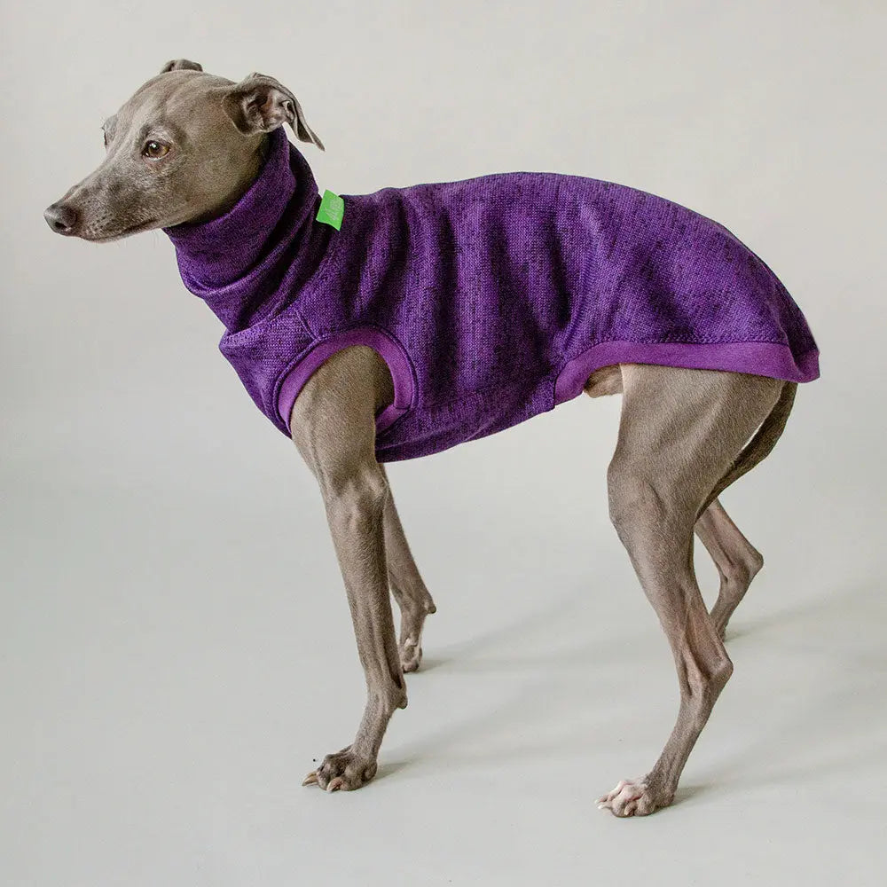 Hundepullover für Windhunde "Speed" - purple 4legs.de