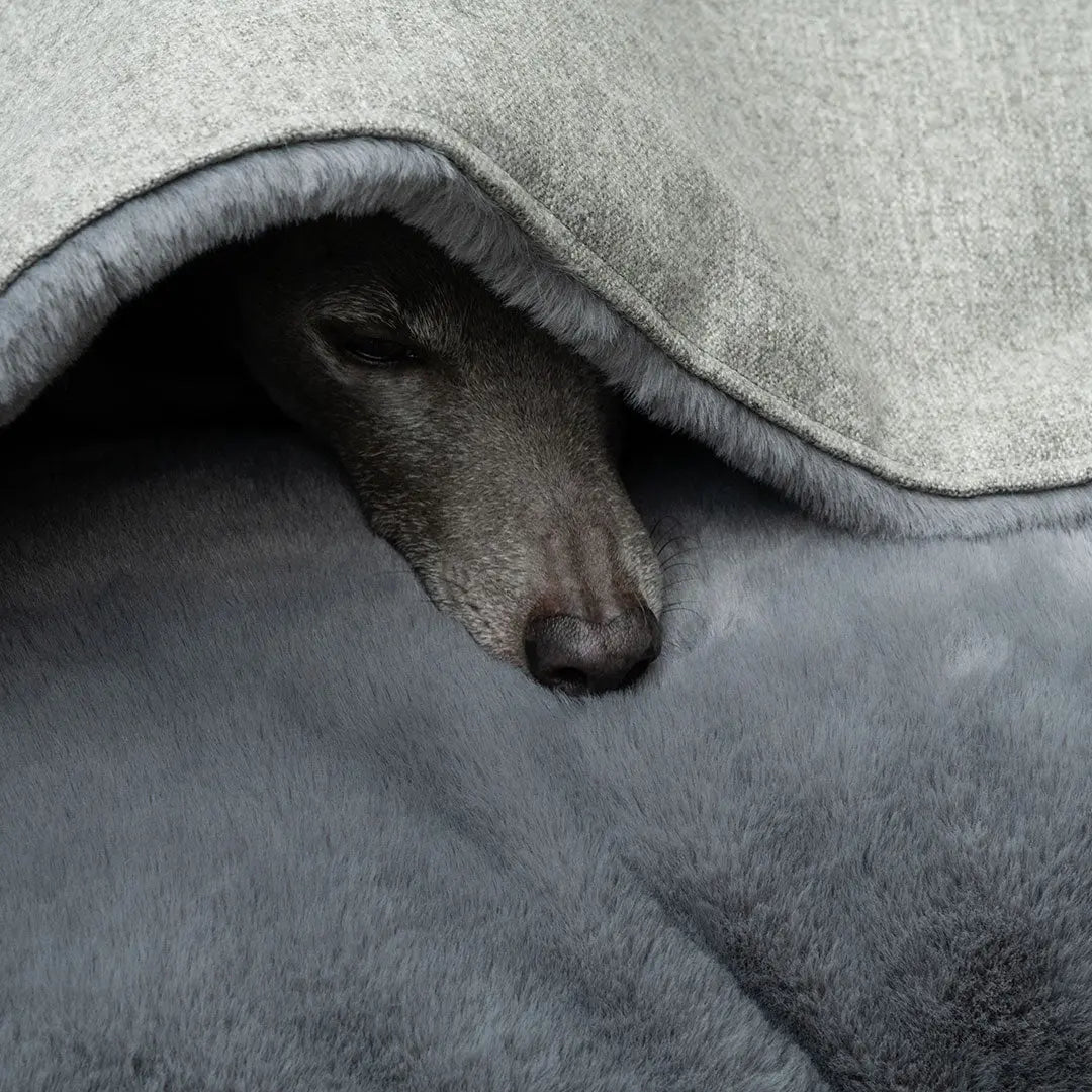Hundeschlafsack "Hideaway" - Boston 4legs.de