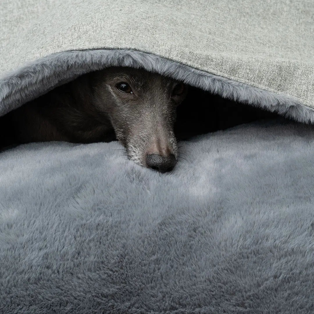 Hundeschlafsack "Hideaway" - Boston 4legs.de