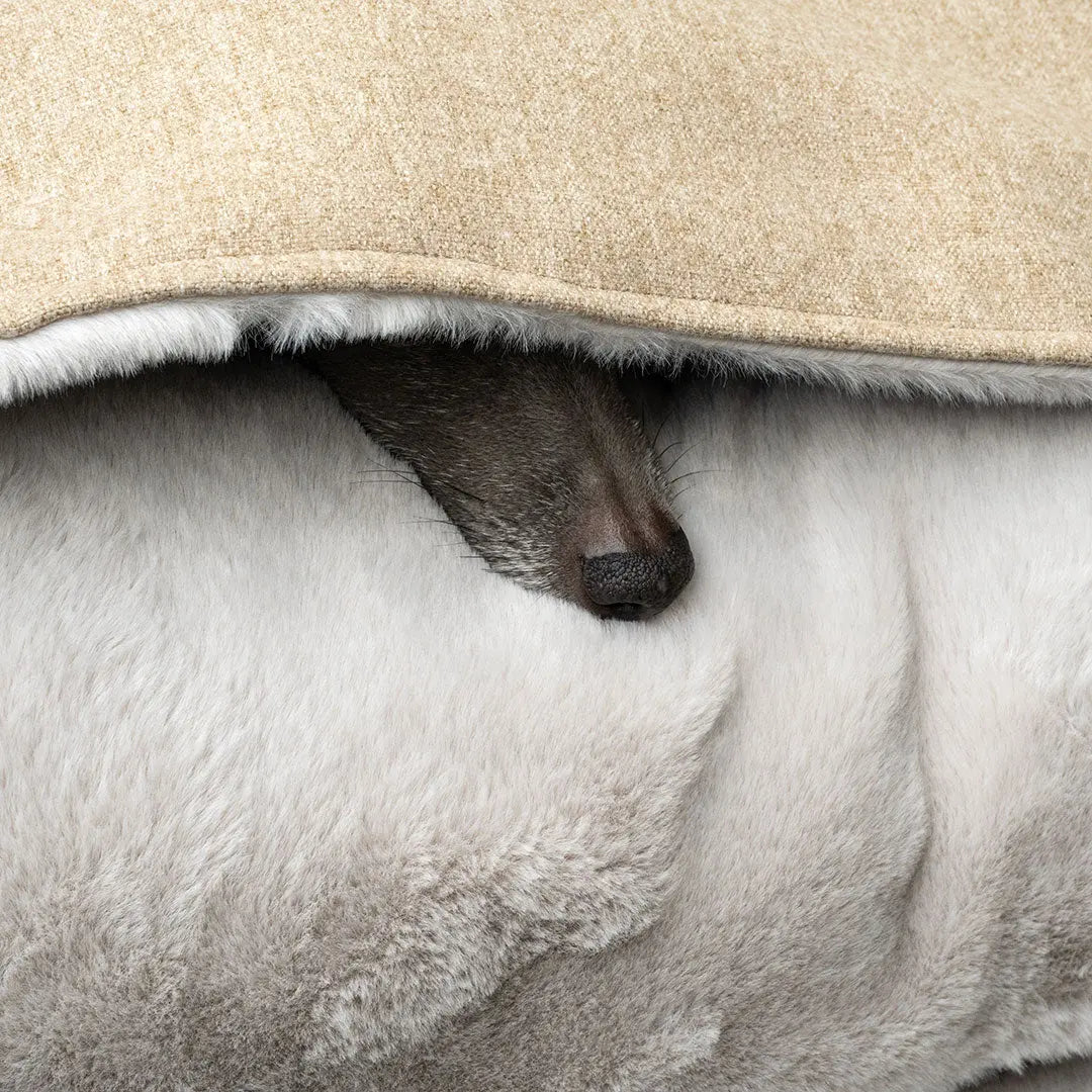 Hundeschlafsack "Hideaway" - Cottage 4legs.de