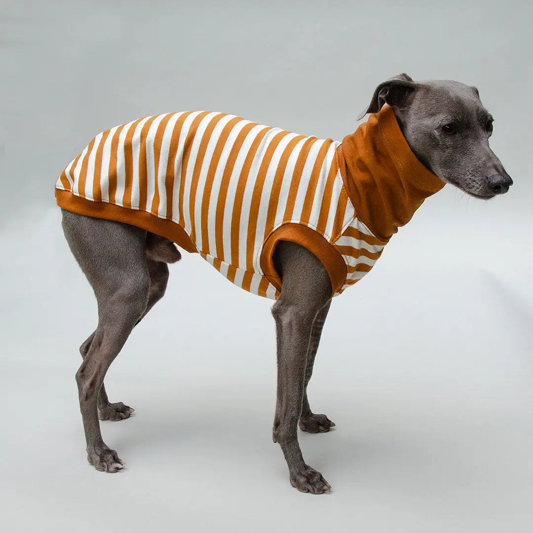 Hundeshirt "BILBAO" curry 4legs.de