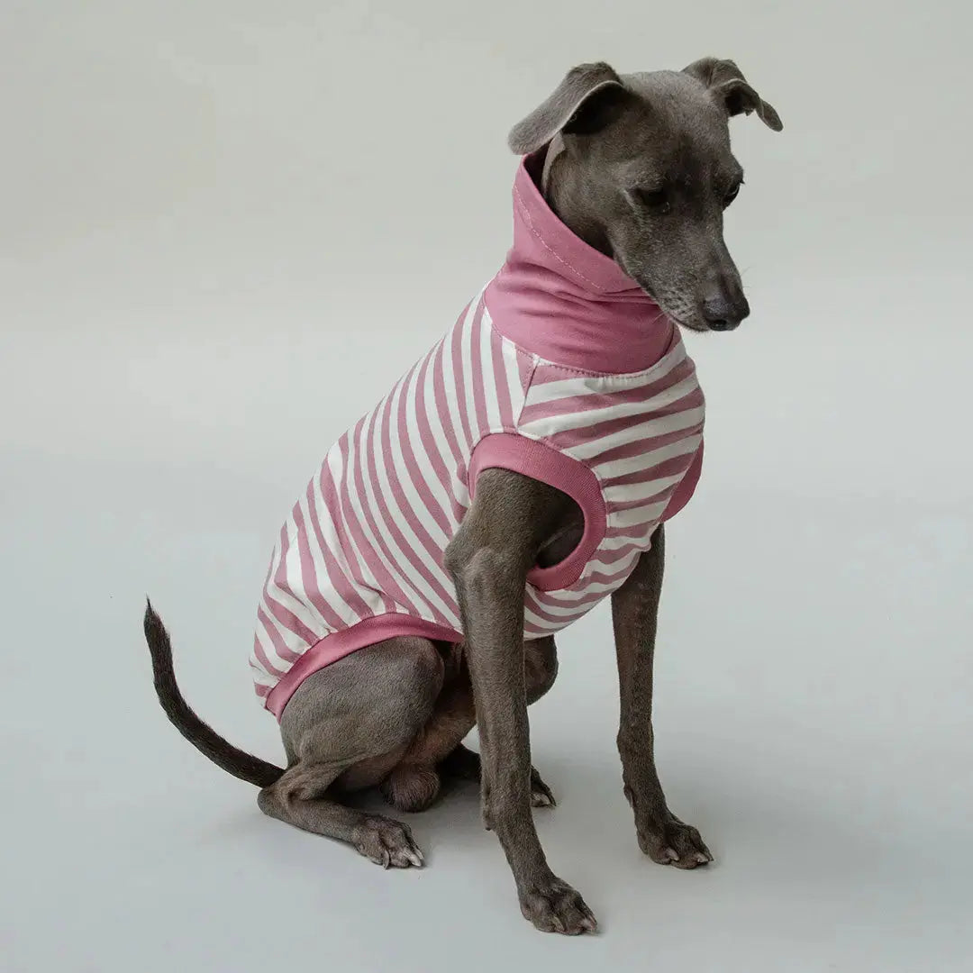 Leichtes Hundeshirt "BILBAO" rose 4legs.de