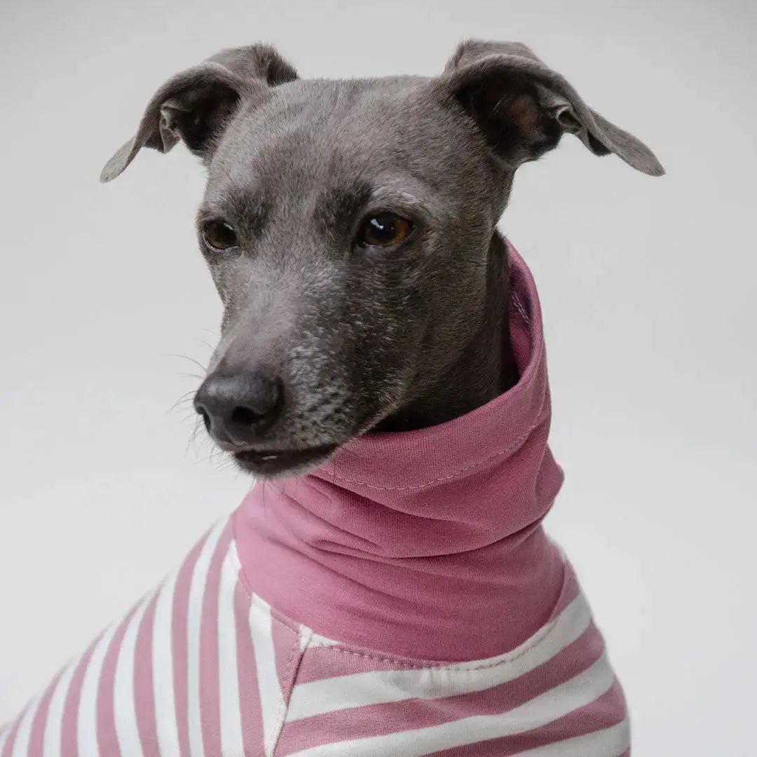 Leichtes Hundeshirt "BILBAO" rose 4legs.de