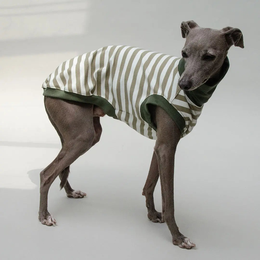 Hundeshirt "BILBAO" oliv 4legs.de