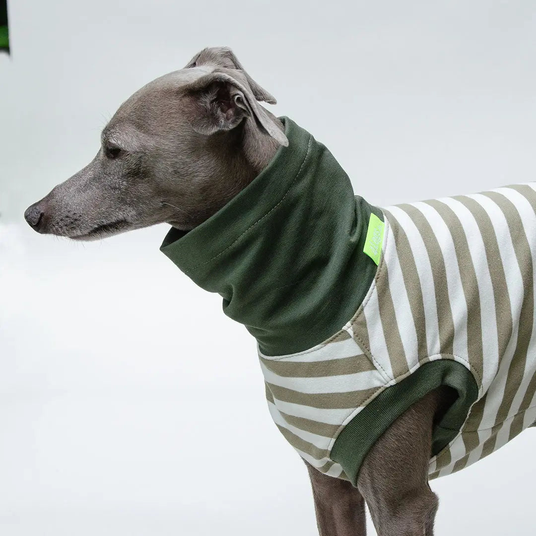 Hundeshirt "BILBAO" oliv 4legs.de