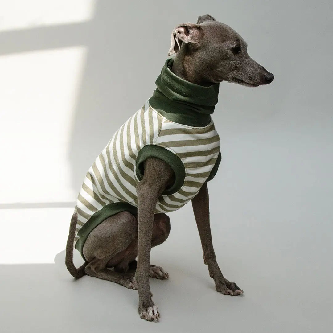 Hundeshirt "BILBAO" oliv 4legs.de