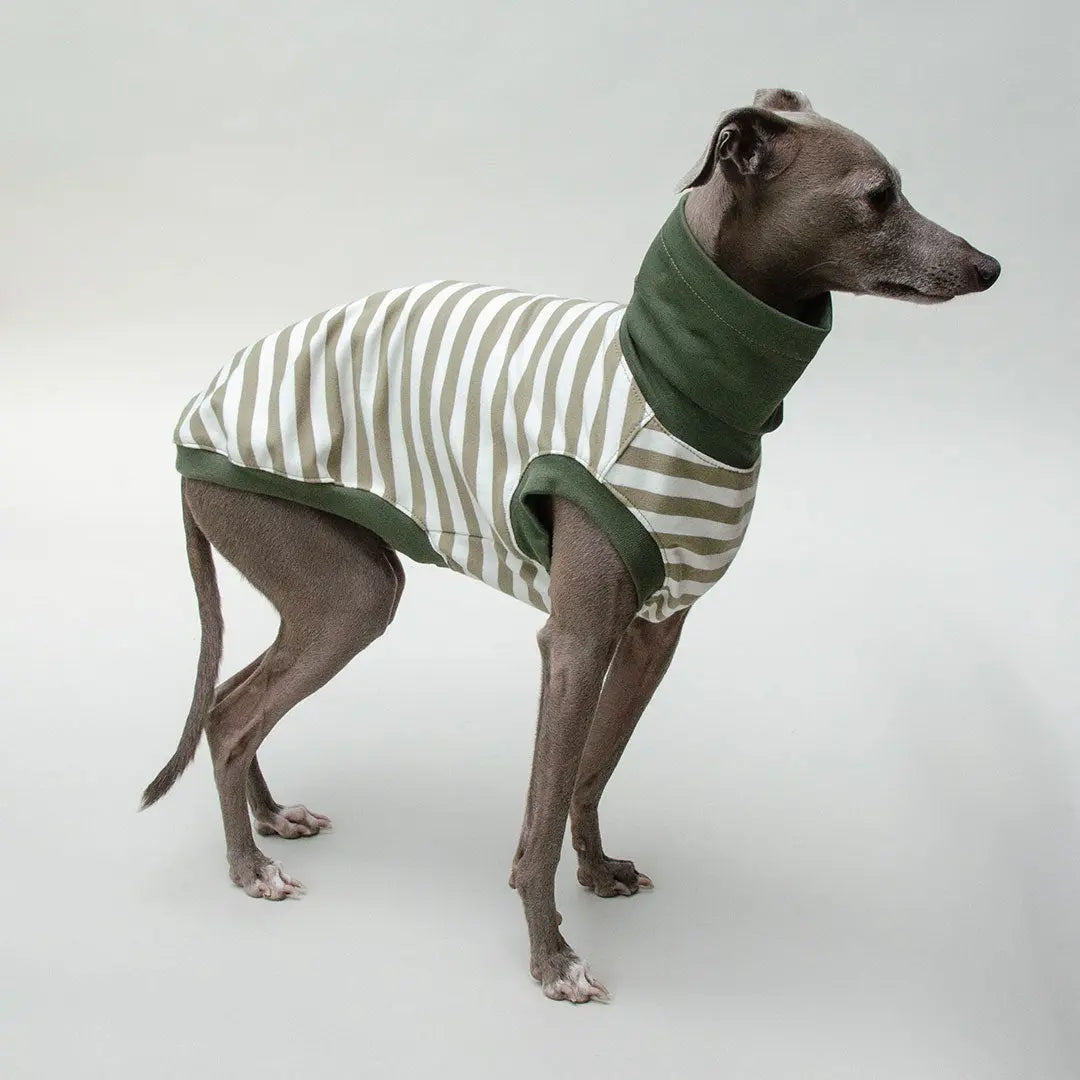 Hundeshirt "BILBAO" oliv 4legs.de