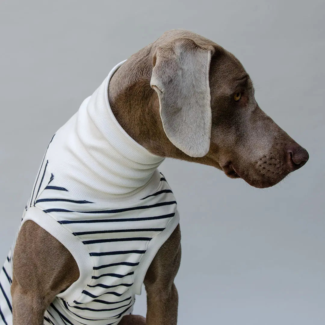 Hundeshirt "BRETAGNE" off white-streifen 4legs.de