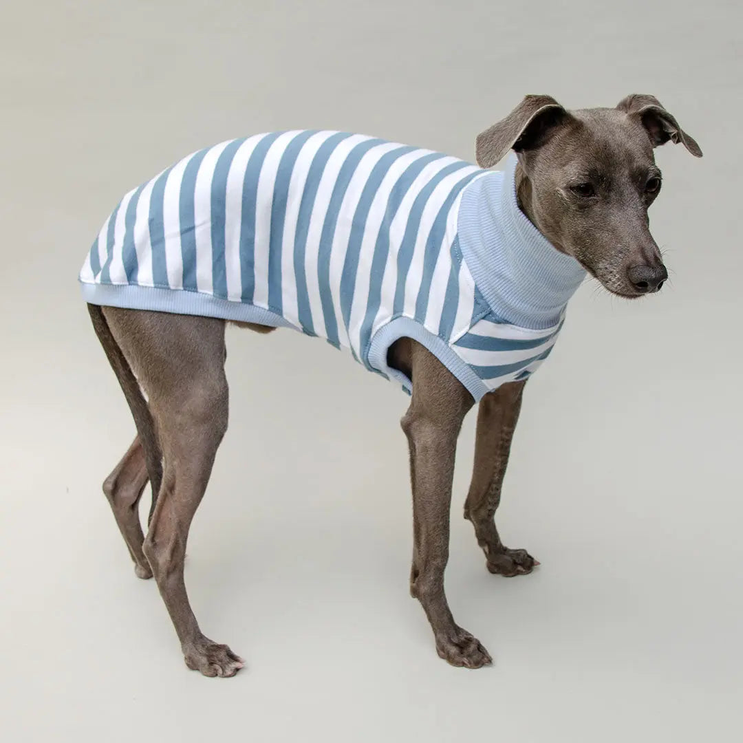 Hundeshirt "NORMANDIE" bleu 4legs.de