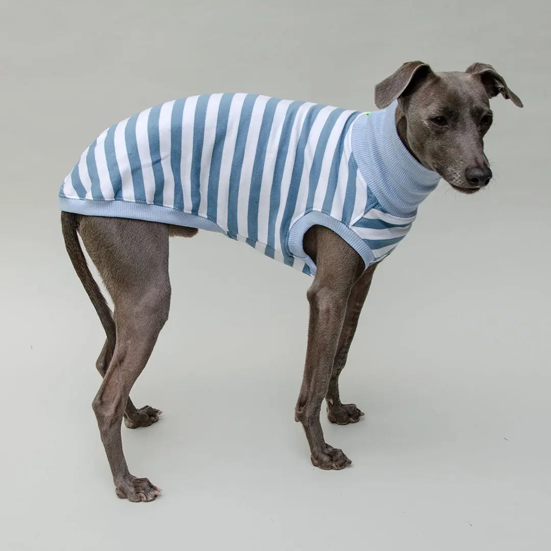 Hundeshirt "NORMANDIE" bleu 4legs.de