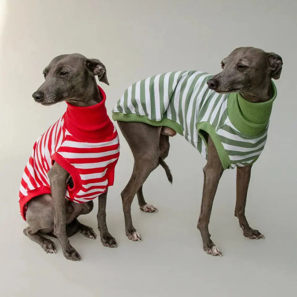 Hundeshirt "NORMANDIE" green - 4legs.de