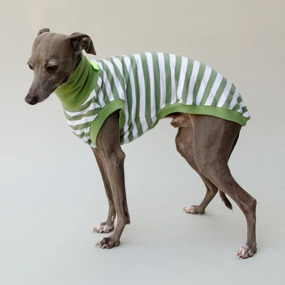 Hundeshirt "NORMANDIE" green 4legs.de