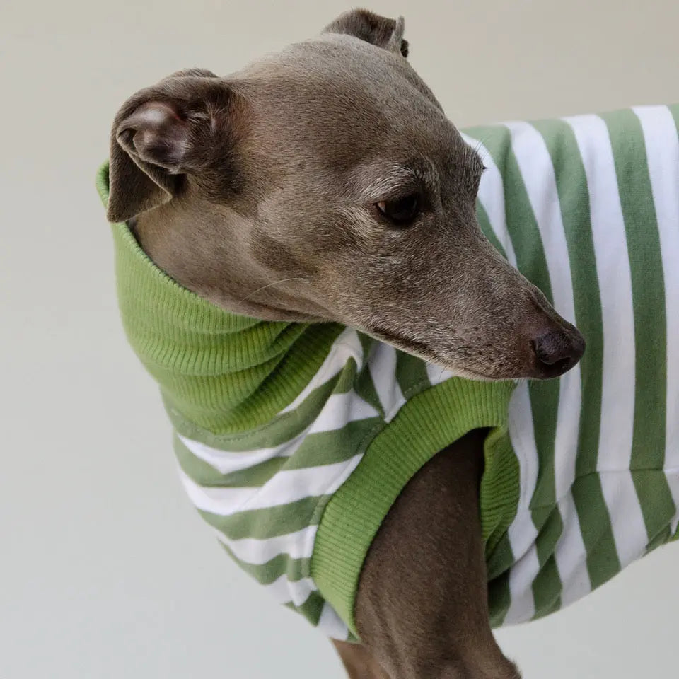 Hundeshirt "NORMANDIE" green 4legs.de