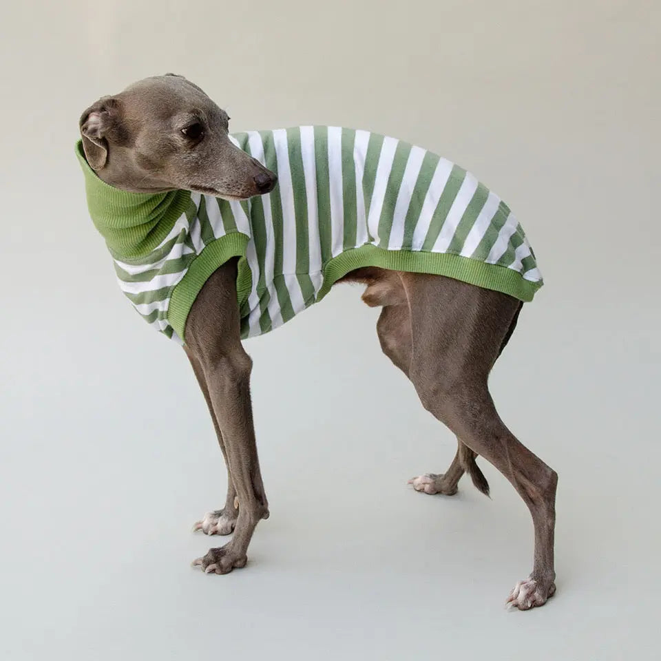 Hundeshirt "NORMANDIE" green 4legs.de