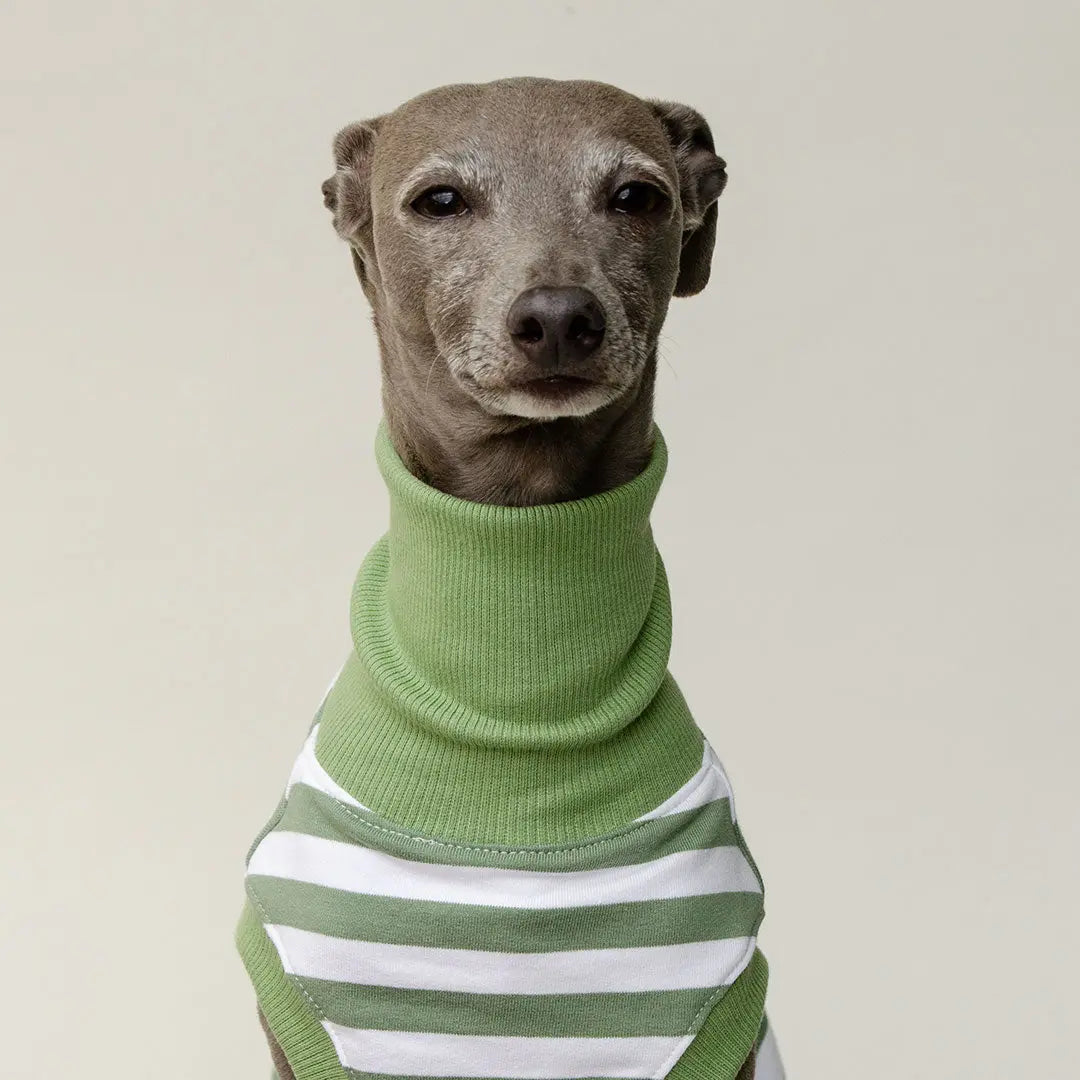 Hundeshirt "NORMANDIE" green 4legs.de