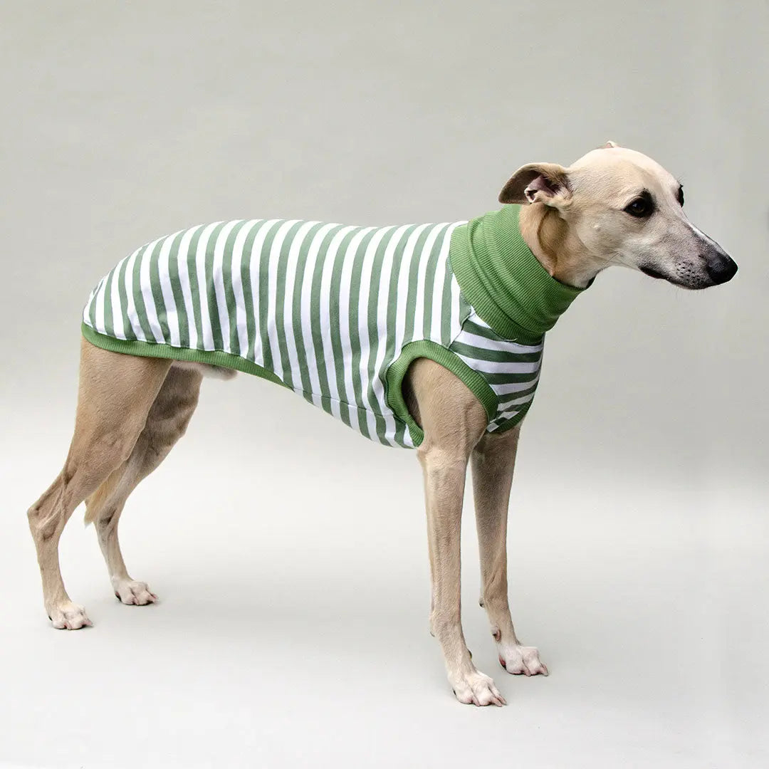 Hundeshirt "NORMANDIE" green 4legs.de