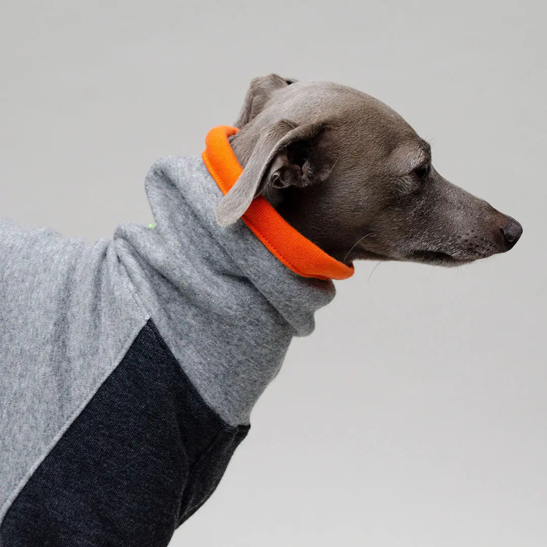 Kuscheliger Hunde-Sweater Bicolor "Baseball" 4legs.de