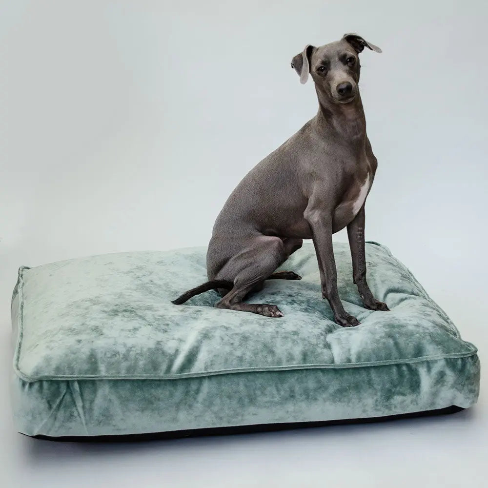 Lazy Bed Ice Mint 4legs.de