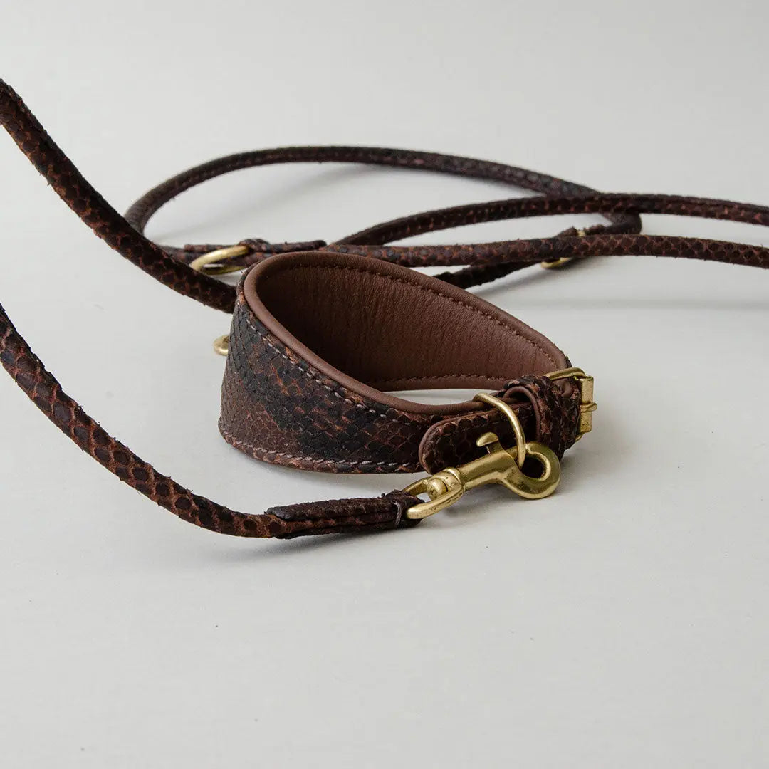 Lederhalsband "Sighthound Snake DARK" für Windhunde 4legs.de