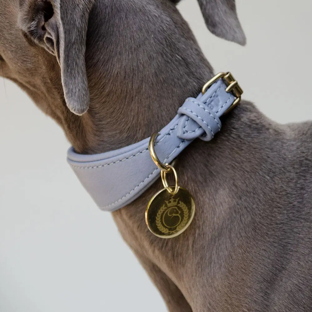 Lederhalsband für Windhunde - "Nappa Greyhound" - bleu 4legs.de