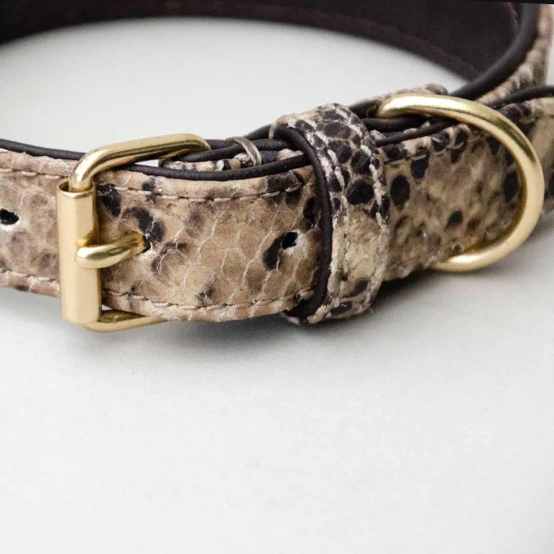 Lederhalsband mit Polsterung "Fake-Snake" 4legs.de