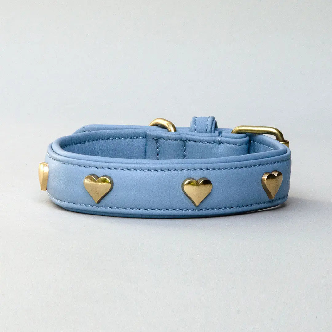 Lederhalsband mit Polsterung "Heart of Gold" - bleu 4legs.de