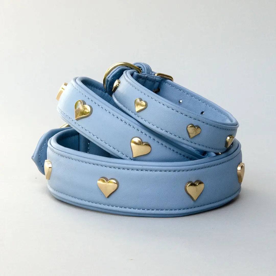 Lederhalsband mit Polsterung "Heart of Gold" - bleu 4legs.de