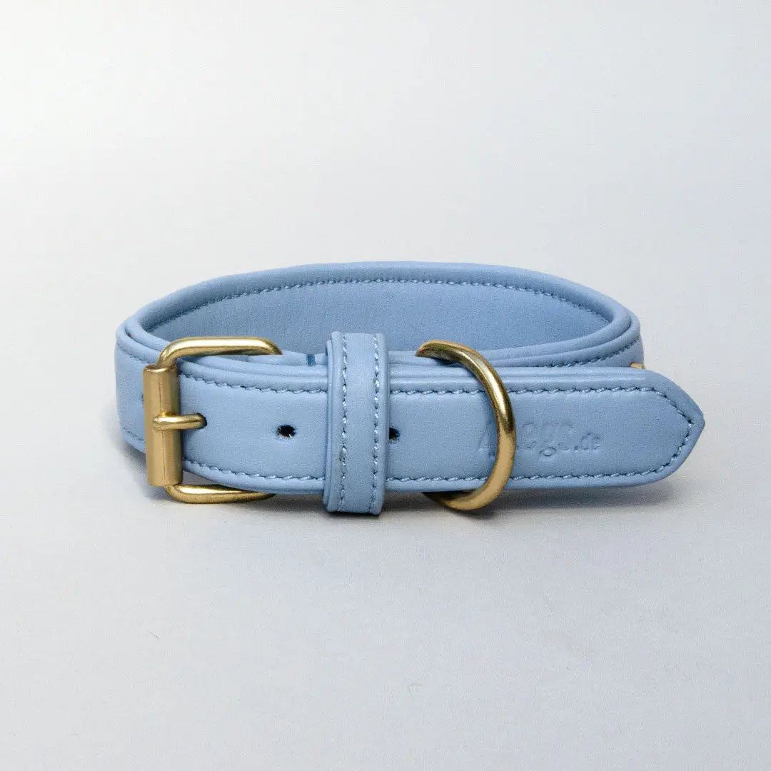 Lederhalsband mit Polsterung "Heart of Gold" - bleu 4legs.de