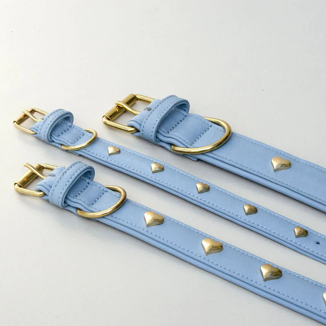 Lederhalsband mit Polsterung "Heart of Gold" - bleu 4legs.de
