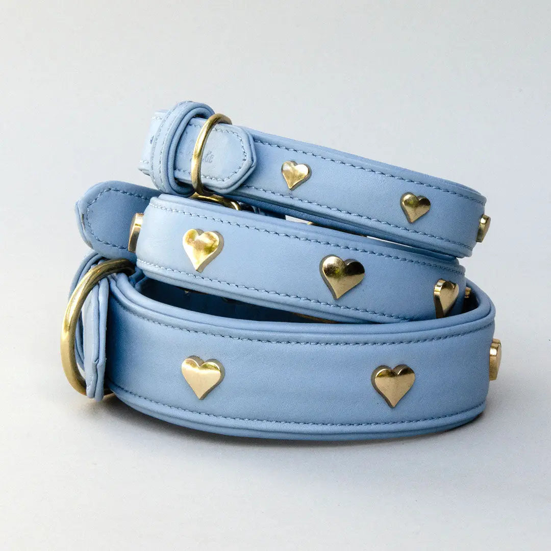Lederhalsband mit Polsterung "Heart of Gold" - bleu 4legs.de