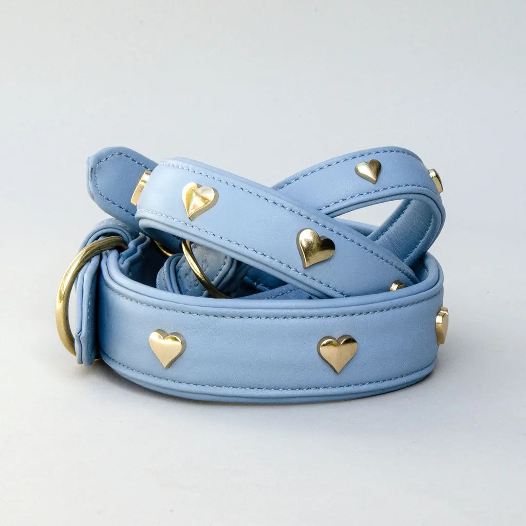 Lederhalsband mit Polsterung "Heart of Gold" - bleu 4legs.de