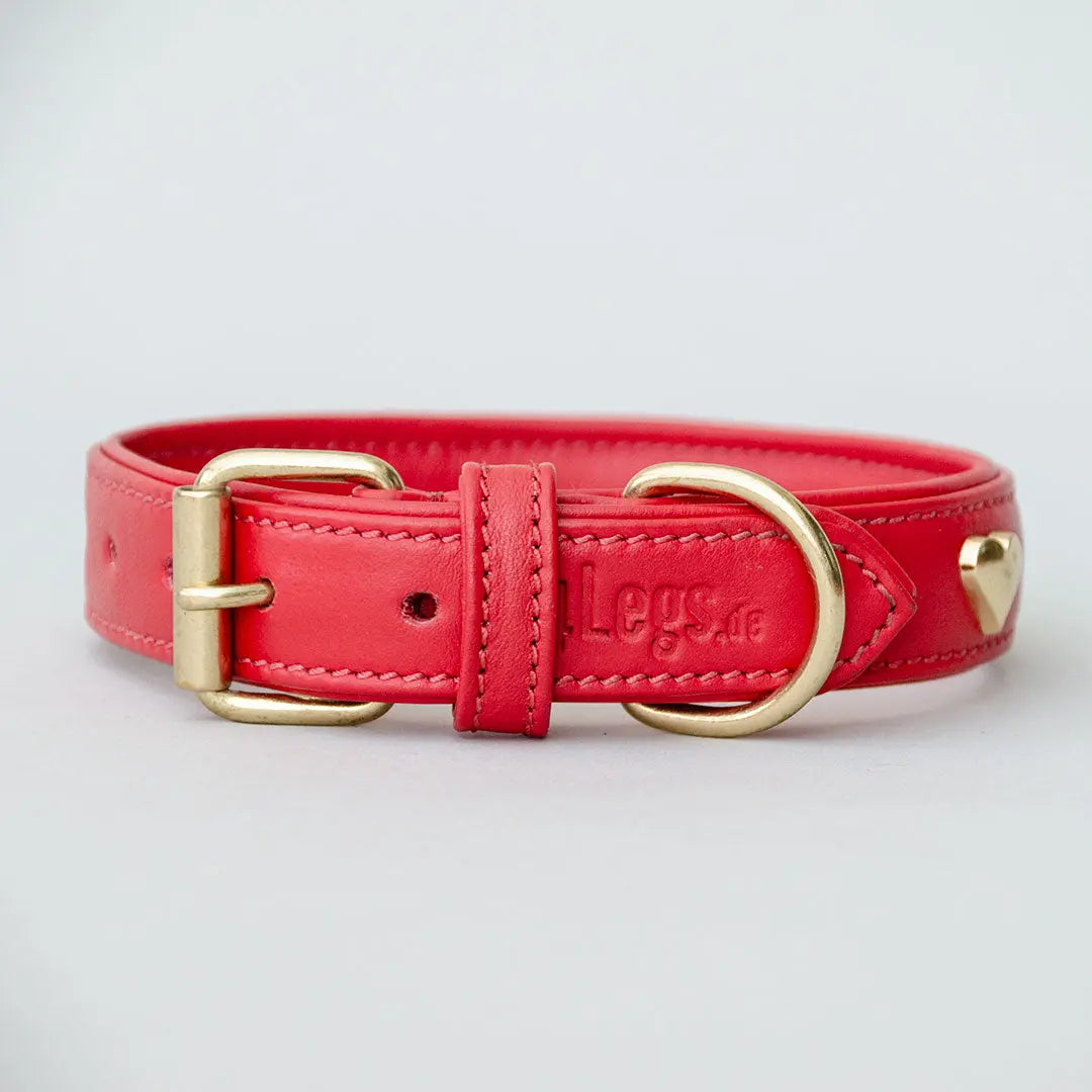 Lederhalsband mit Polsterung "Heart of Gold" - rot 4legs.de