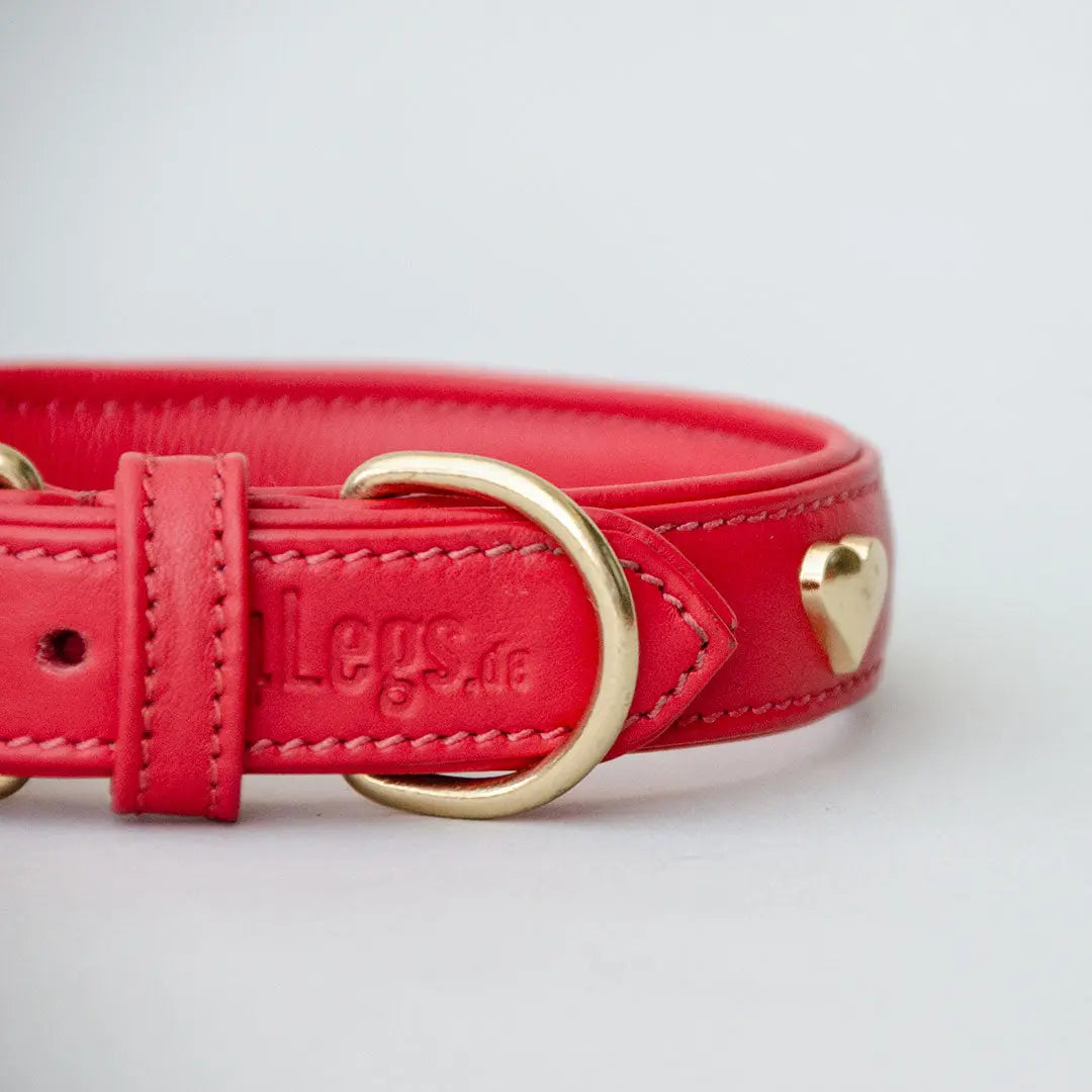 Lederhalsband mit Polsterung "Heart of Gold" - rot 4legs.de