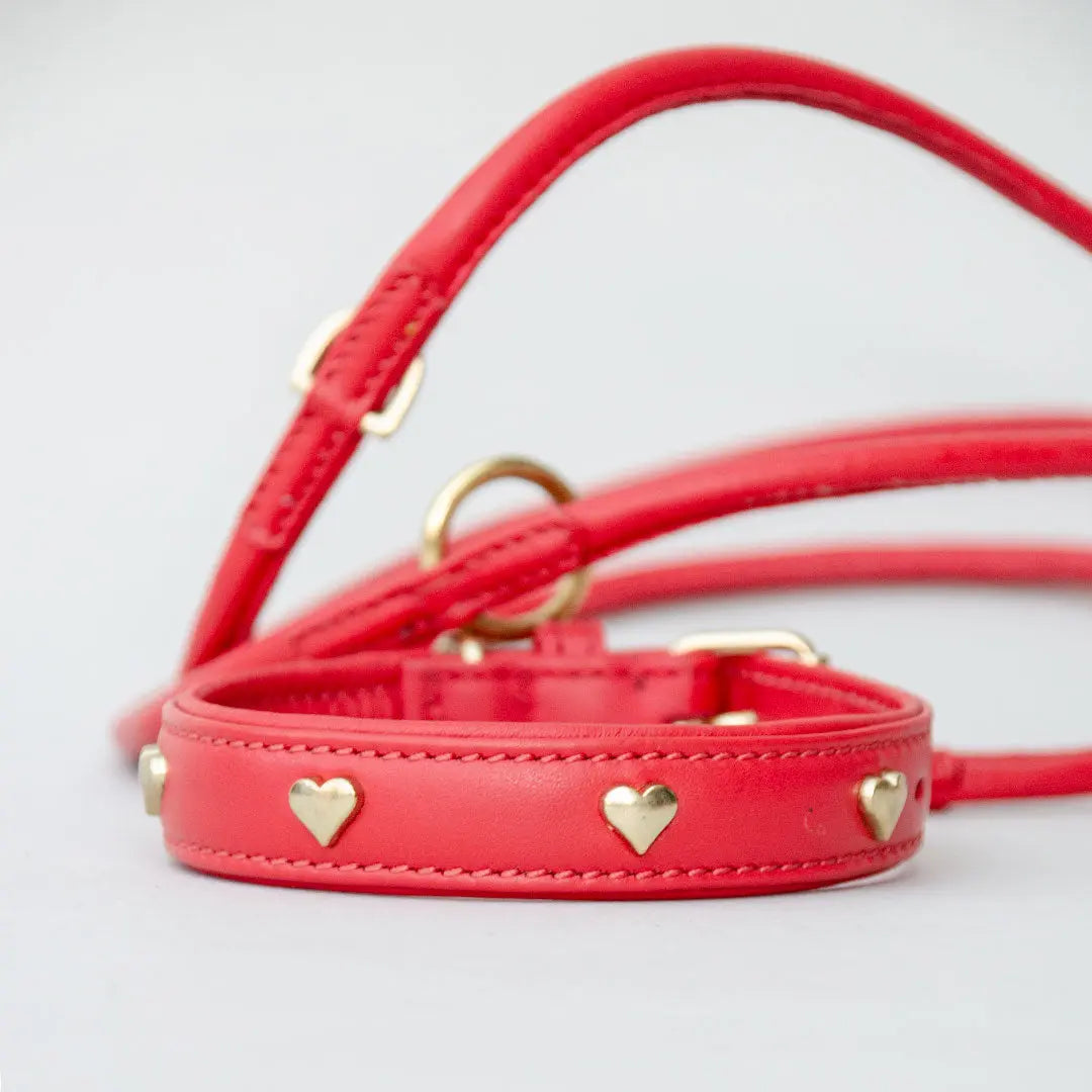 Lederhalsband mit Polsterung "Heart of Gold" - rot 4legs.de