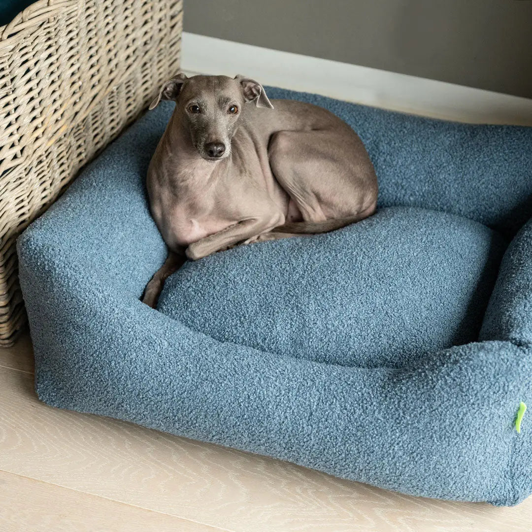 Luxus-Hundebett „Canapé Teddy Deluxe“ hellblau