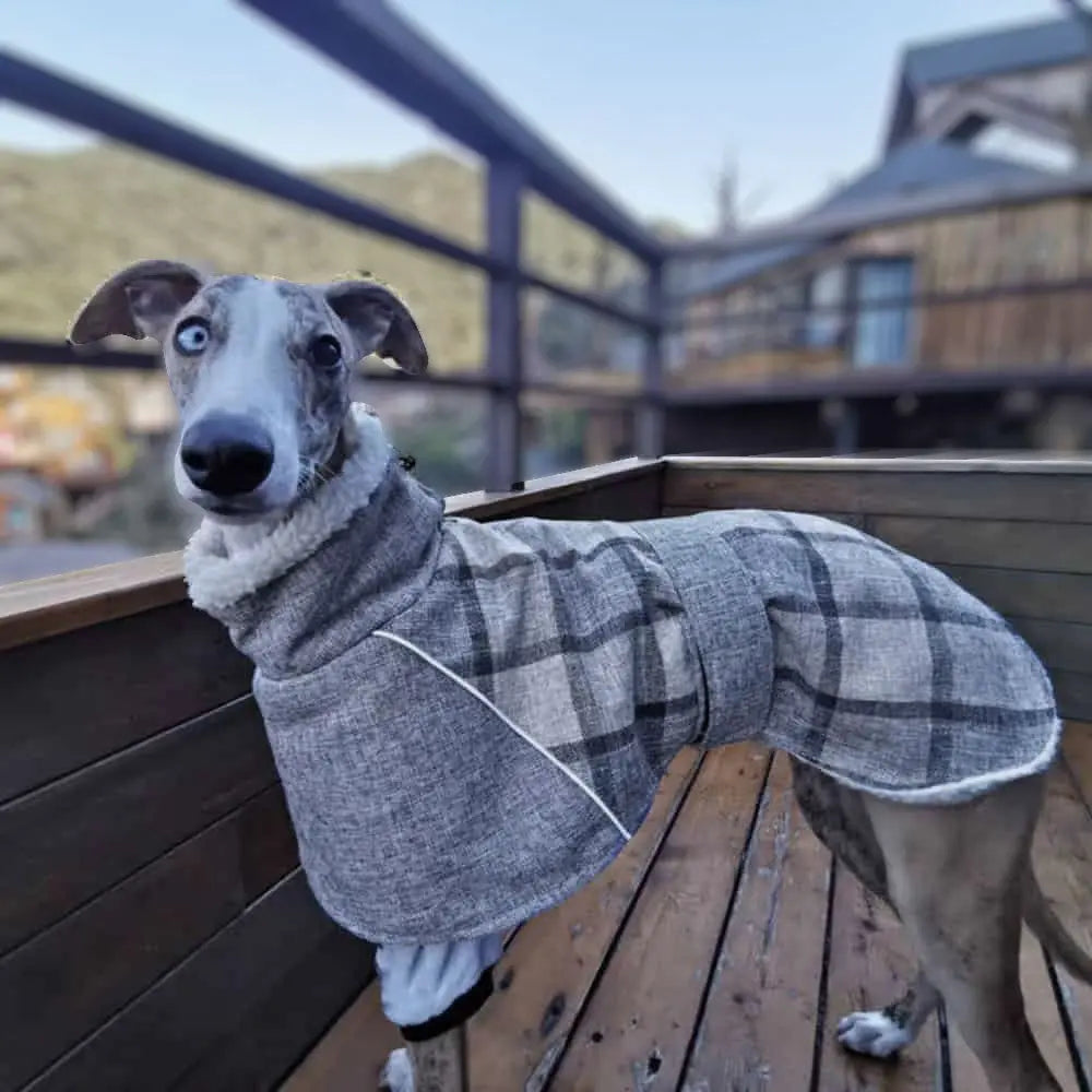 Mantel für Windhunde "Greyhound" beige-grau 4legs.de