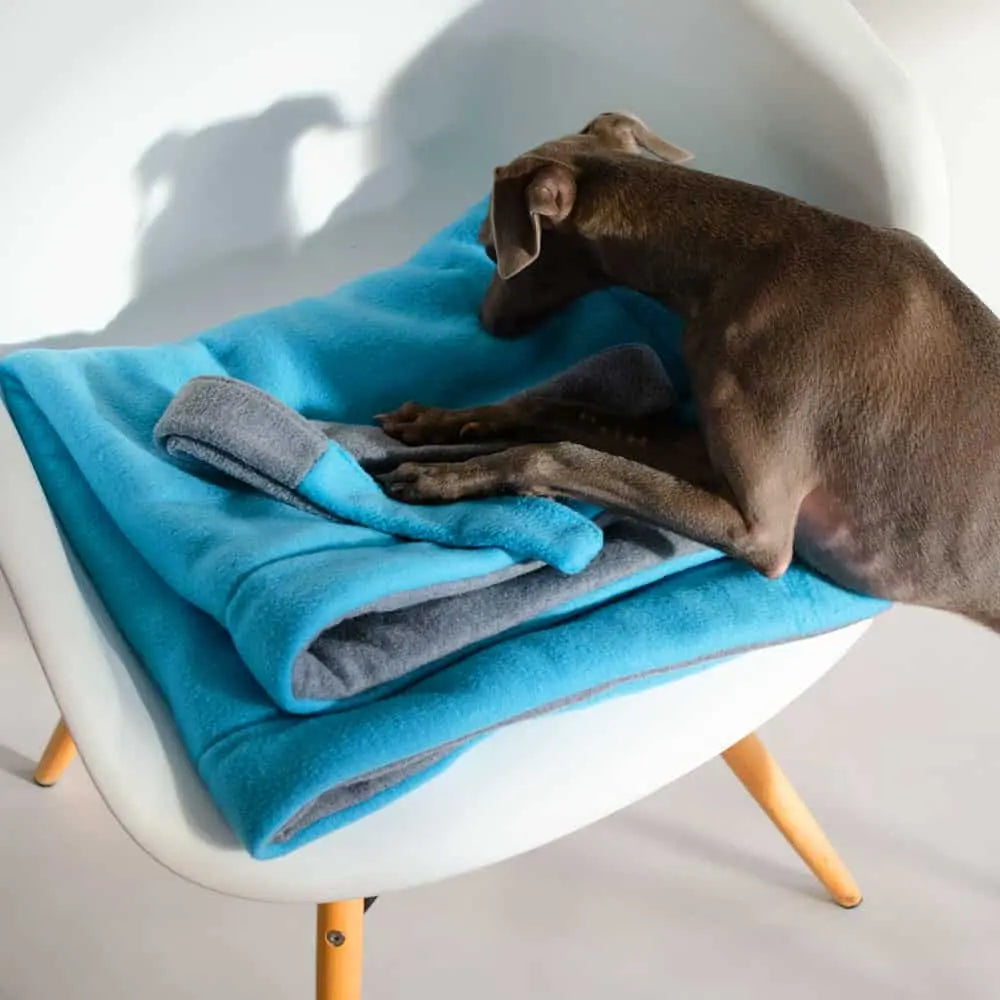 Mitnehmbare Decke für Hunde "blau-grau" 4legs.de