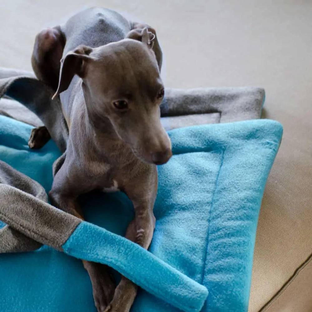 Mitnehmbare Decke für Hunde "blau-grau" 4legs.de