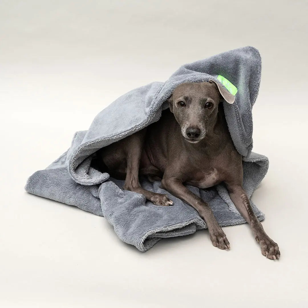 "Nikki-Towel" - das Luxus Handtuch für Hunde 4legs.de