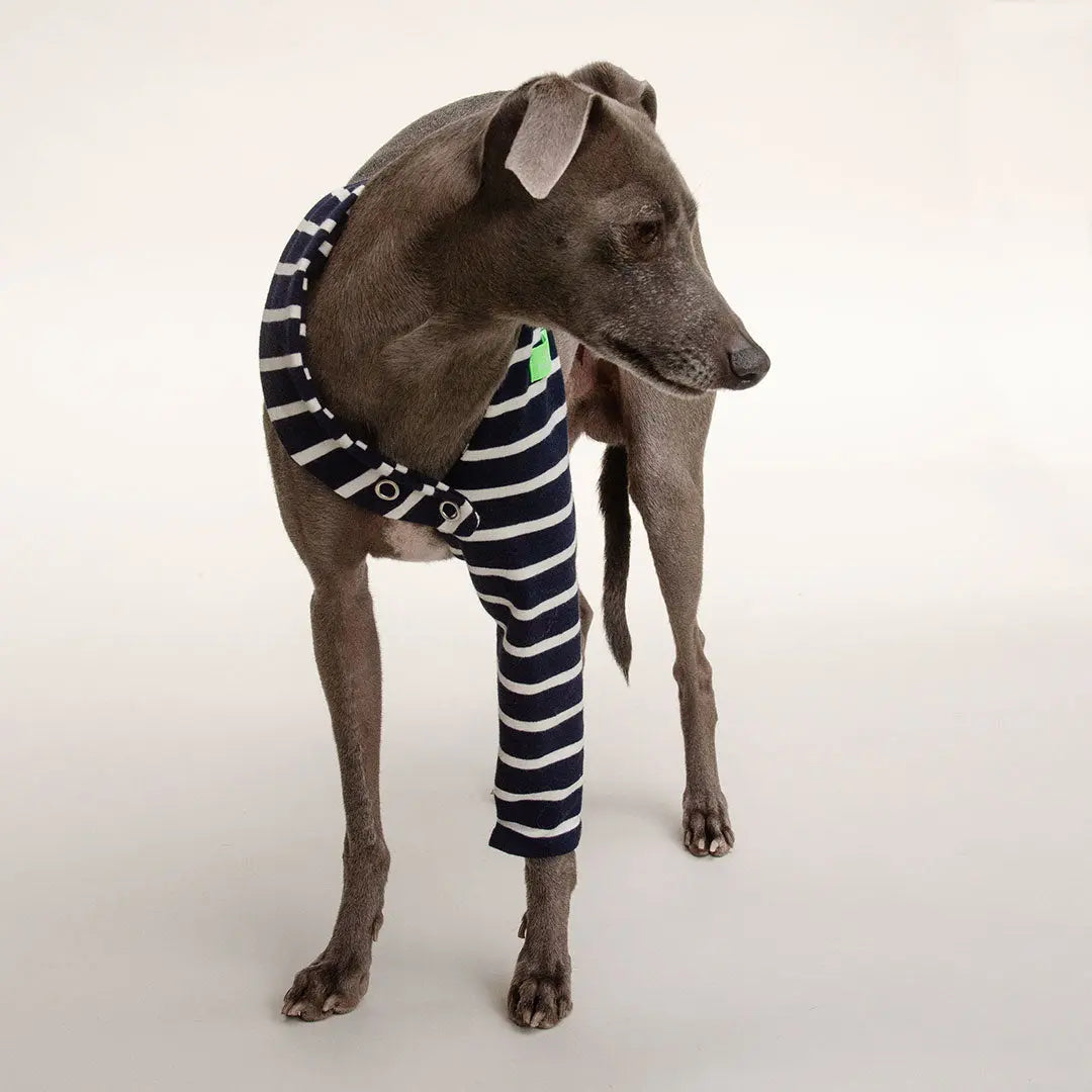 "One-Leg-Bandage" 4legs.de