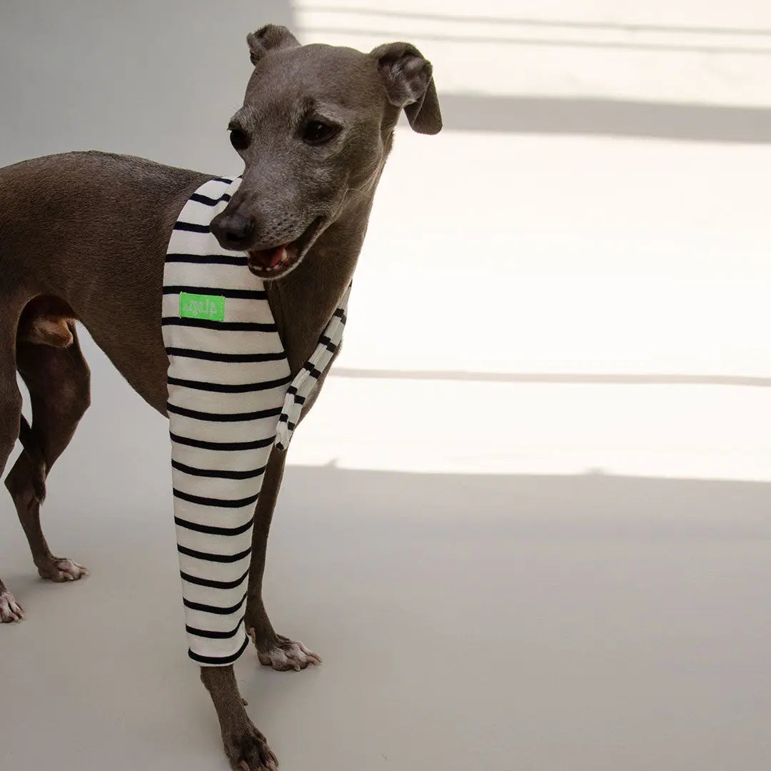 "One-Leg-Bandage" 4legs.de