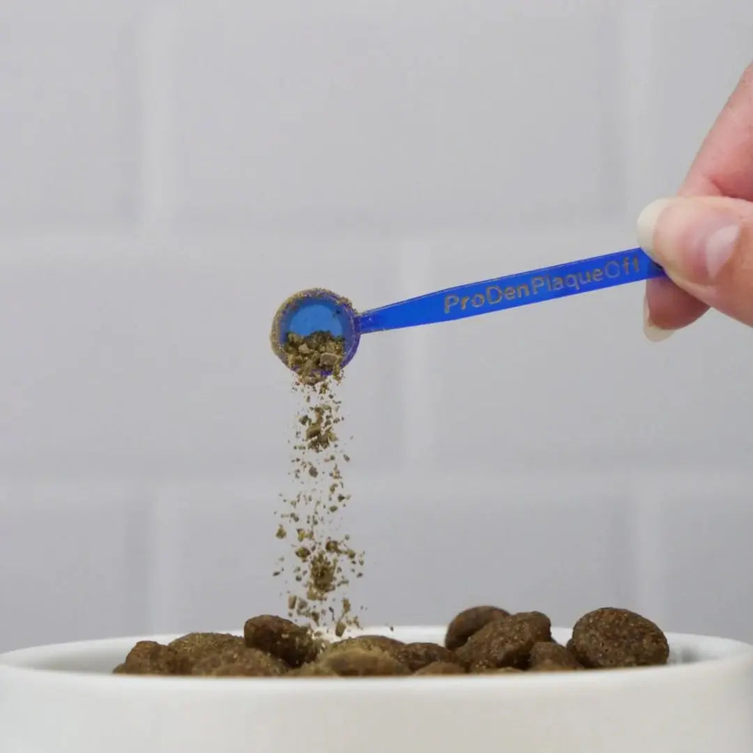 "Plaque Off Powder" 4legs.de