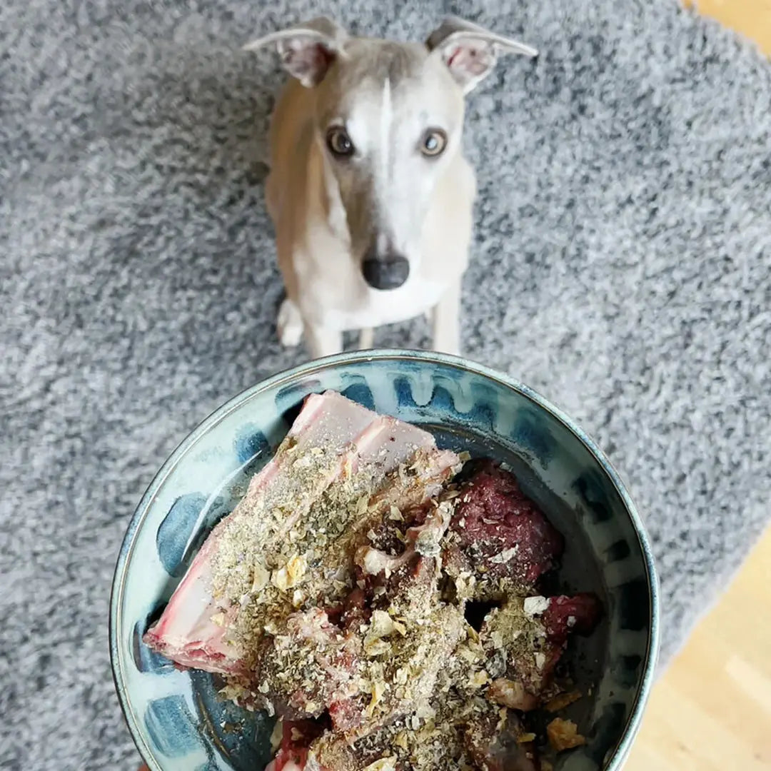 "Plaque Off Powder" 4legs.de