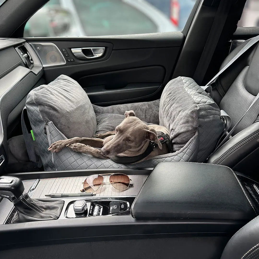 Premium Autositz für Hunde – „Comfort Grey“ 4legs.de