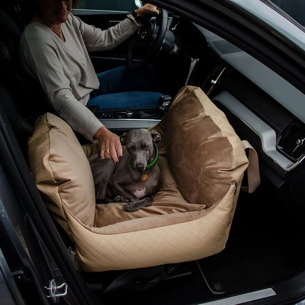 Premium Autositz für Hunde – „Travel Deluxe“ – Glamour Vol 2 4legs.de