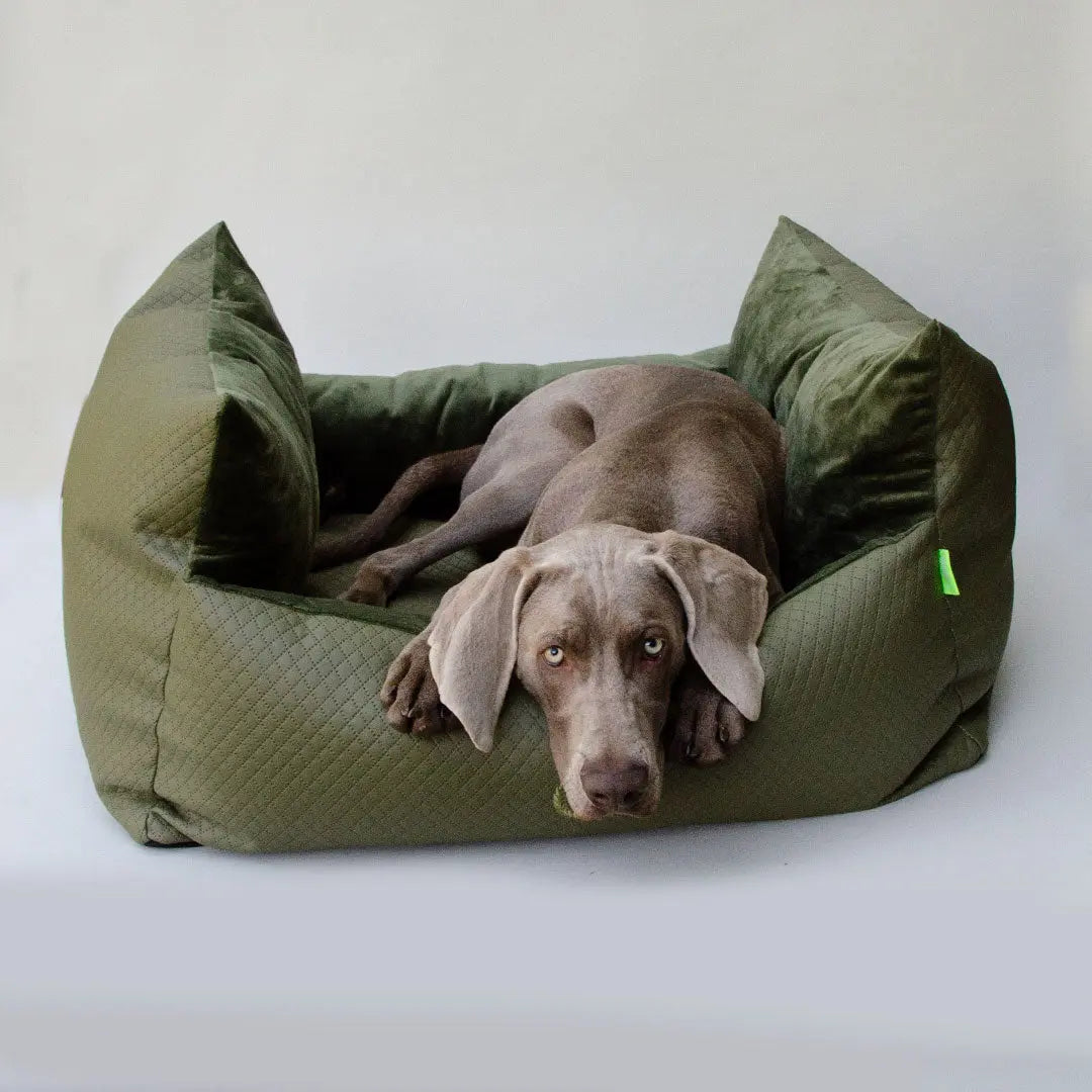 Premium Hundebett "Cocoon MAX" 4legs.de