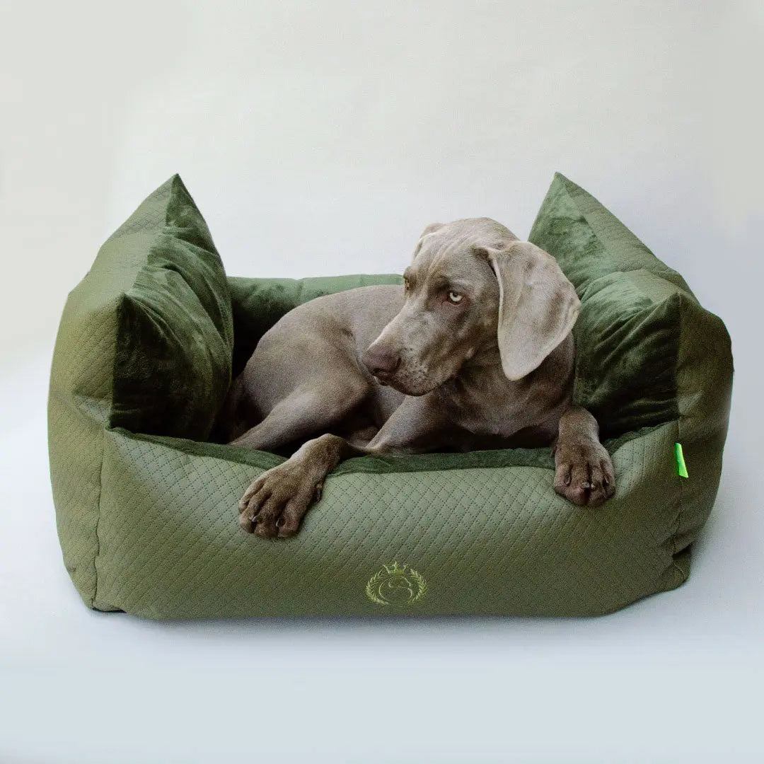 Premium Hundebett "Cocoon MAX" 4legs.de