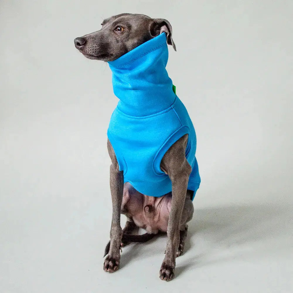 Dogsweater "COZY" - blue 4legs.de