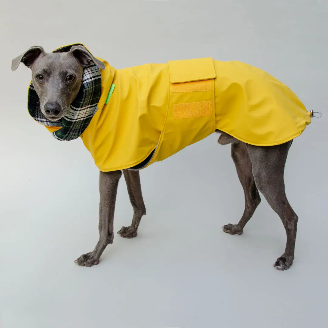 Regenmantel für Hunde "Safe From Rain" yellow 4legs.de