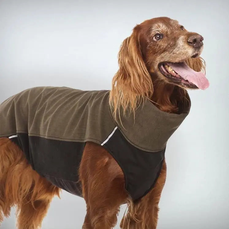 Dieser Softshell Hundepullover "Hachico RR" wurde für besonders dynamische Hunde mit athletischer Körperform entworfen.